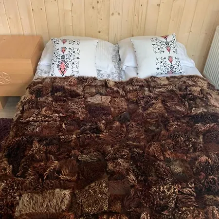 Stara Polana Apartment