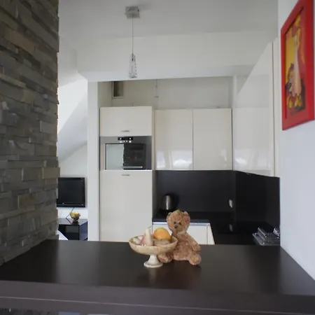 Stara Polana Apartment *