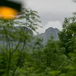 Stara Polana Закопане